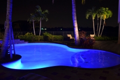 Custom Pool 38
