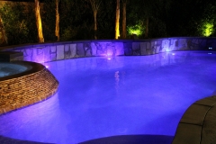 Custom Pool 41