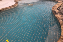 Custom Pool 95